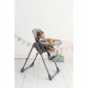 TRONA EVOLUTIVA POSICIONES GRIS
