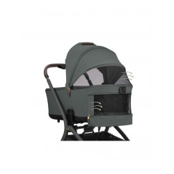 DUO GOYA PLATINIUM OLIVE
