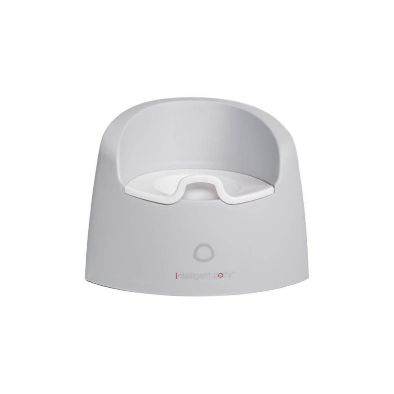 INTELLIGENT POTTY STONE
