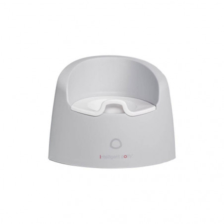 INTELLIGENT POTTY STONE