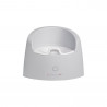 INTELLIGENT POTTY STONE