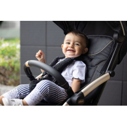 GOODY PLUS ECO+ SILLA PASEO