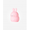 LUZ DE COMPAÑIA LITLLE BUNNY ROSA