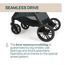 TRIO BELLAGIO 2 CON CAPAZO FLEXI Y KORY PLUS FIR TREE