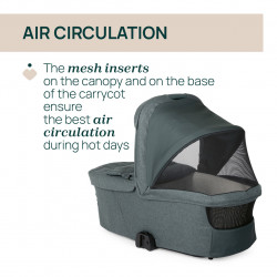 TRIO BELLAGIO 2 CON CAPAZO FLEXI Y KORY PLUS FIR TREE