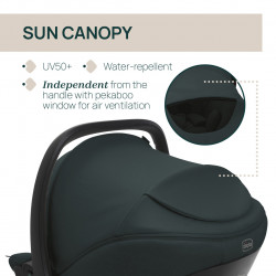 TRIO BELLAGIO 2 CON CAPAZO FLEXI Y KORY PLUS FIR TREE