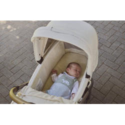 TRIO BELLAGIO 2 CON CAPAZO FLEXI Y KORY PLUS FIR TREE