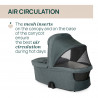 DUO BELLAGIO Y FLEXI FIR TREE
