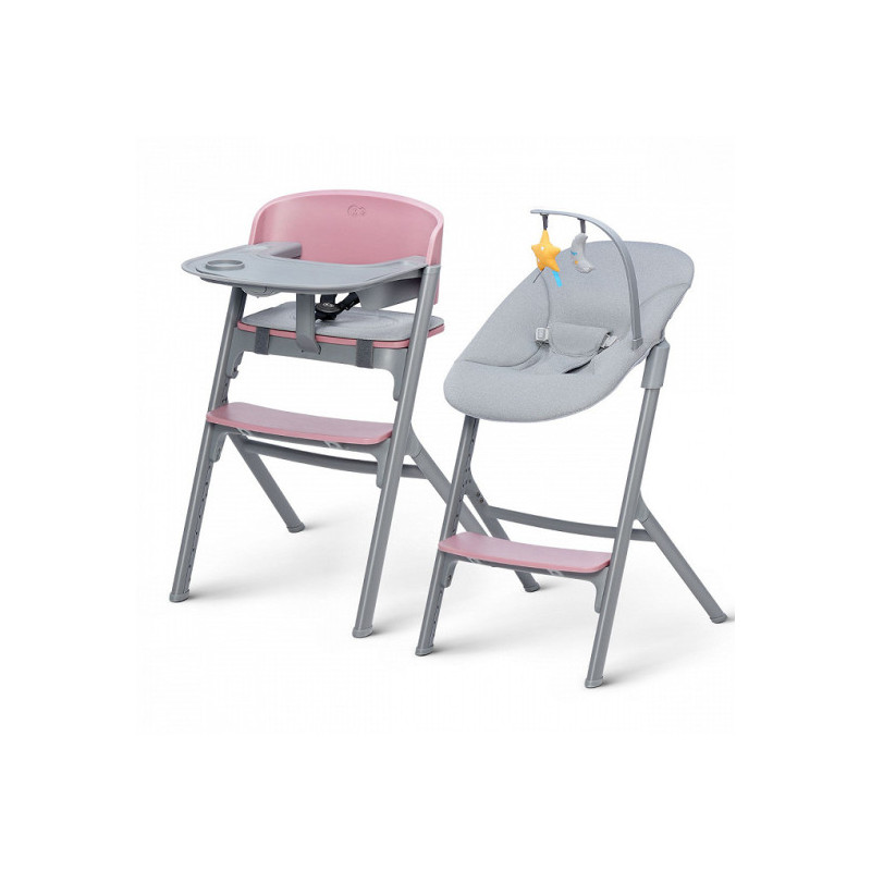 TRONA EVOLUTIVA LIVY ASTER PINK+CALMEE